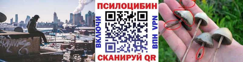 Псилоцибиновые грибы мицелий  Печоры 